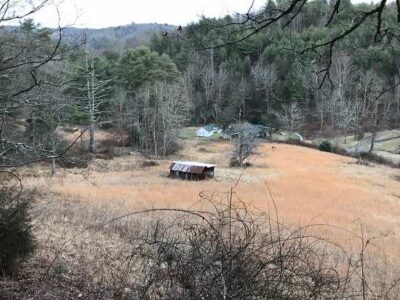 Has the Edible Landscape Gone Too Far? Image